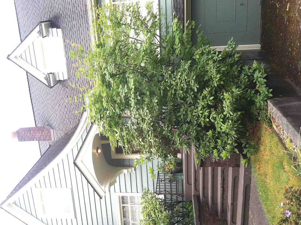 2nd image of 7051 17th Ave NE