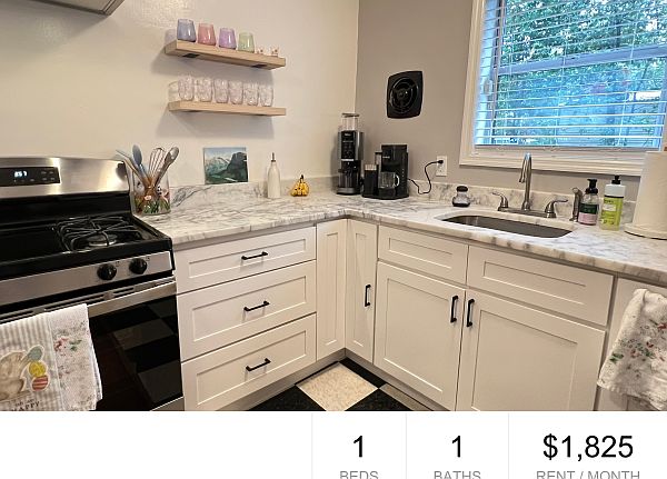 Freshly Renovated! 2 Minute Walk to Piedmont Park