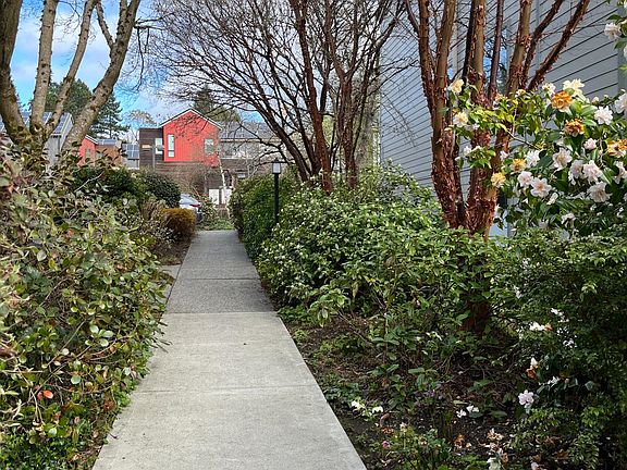 park like pathway to the pool
