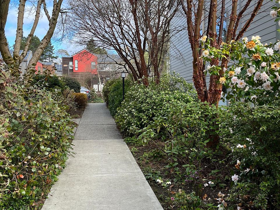 park like pathway to the pool