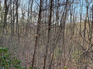 14 Price Rd, Blue Ridge, GA 30513