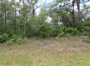 2990 W Juliet Pl, Citrus Springs, FL 34433