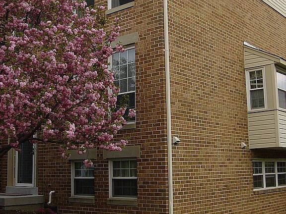 2nd image of 5219 Harbor Court Dr