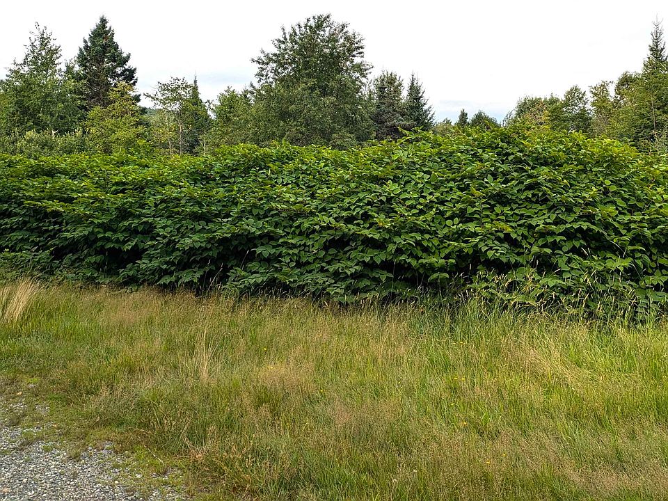 2nd image of Lot 13 Bressette Road