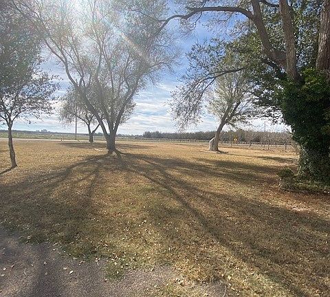 brasher front yard_11222022