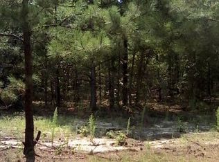 Clear Pond Rd, Bamberg, SC 29003