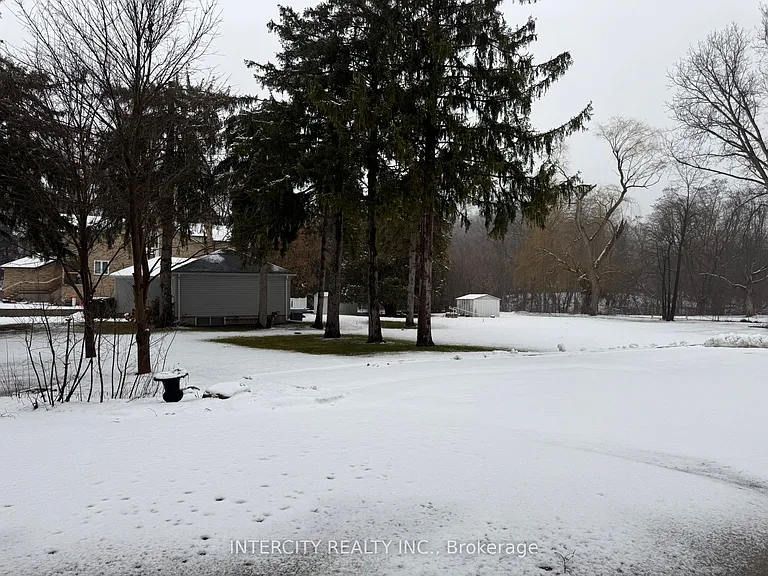 117 Clarence St #LOWER — Photo 4