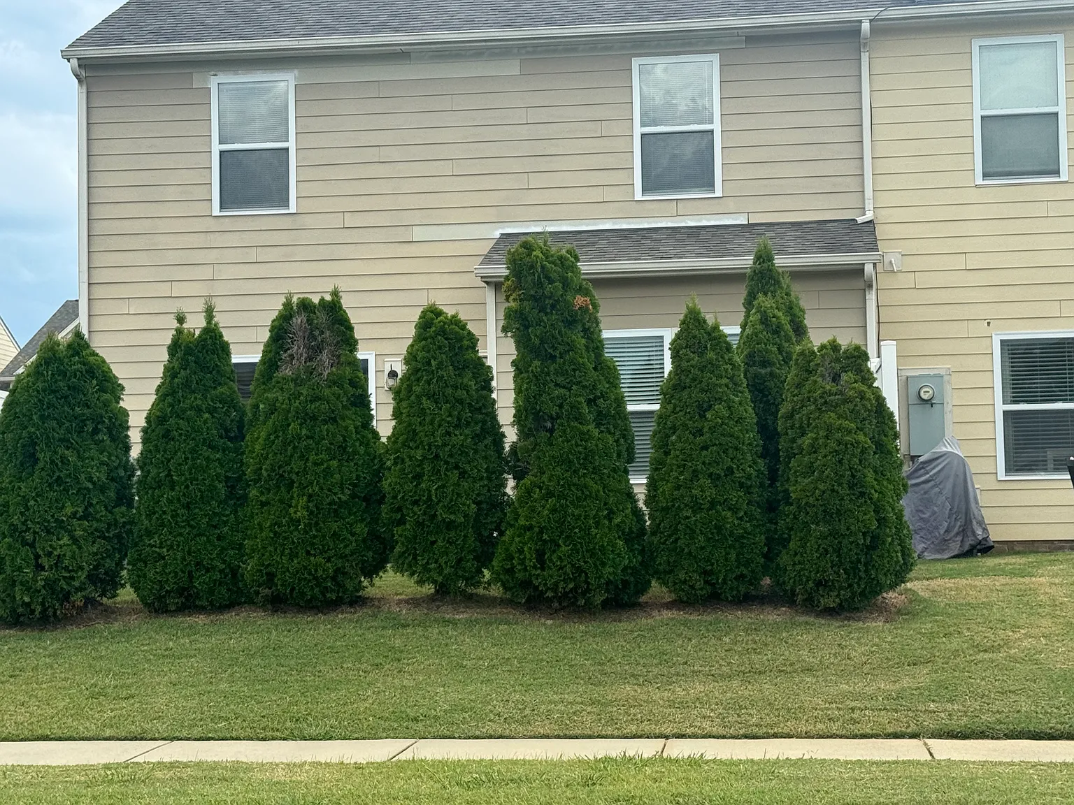 2834 Hopeton Ct — Photo 3