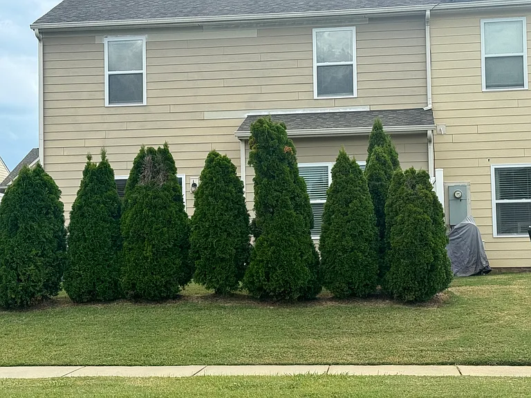 Hopeton Ct — Photo 3