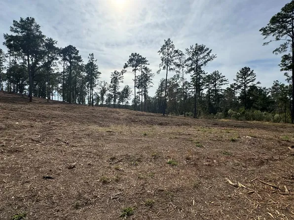Pid000896001400 County Rd #219, Brookeland, TX 75931