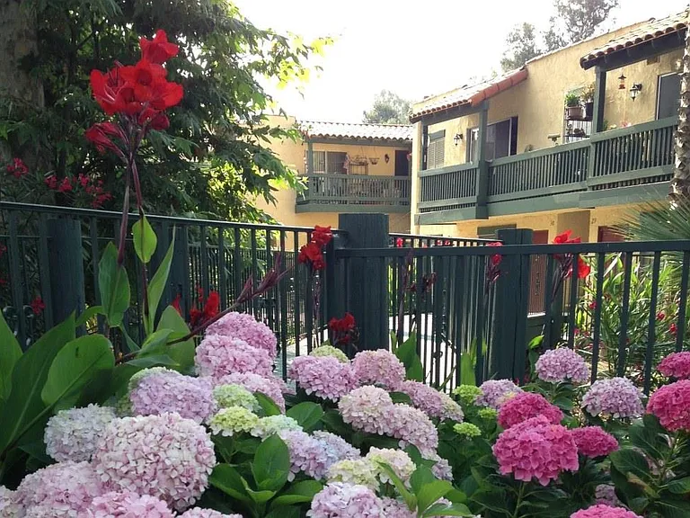 Vale Creek Villas — Photo 35