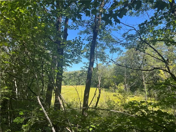 Parcel 4 County Highway T, Birchwood, WI 54817