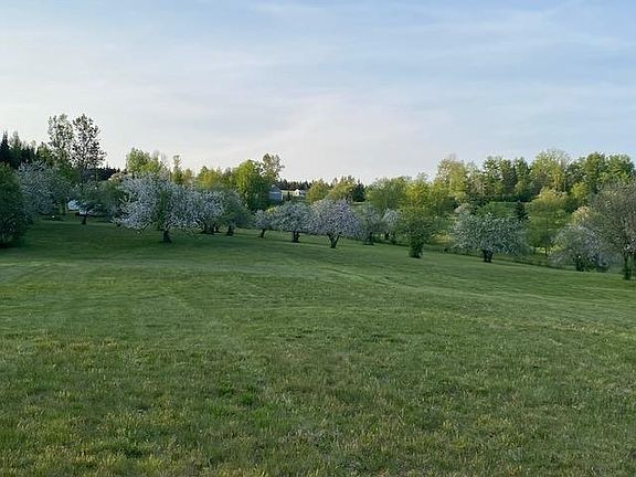 4th image of Off Reed Road
