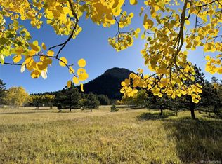 1965 Vagabond Creek Drive LOT 9, Lake George, CO 80827