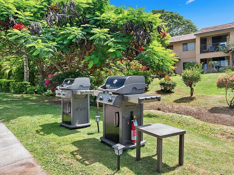 Wailea Alanui Dr — Photo 29