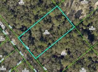 0 Elaine Dr, Webster, FL 33597