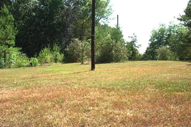 2nd image of 1944 County Road 53