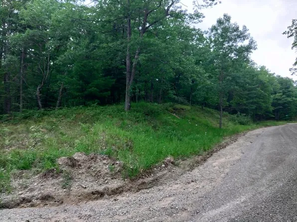 3738 Sitzmark Rd, Spruce, MI 48762