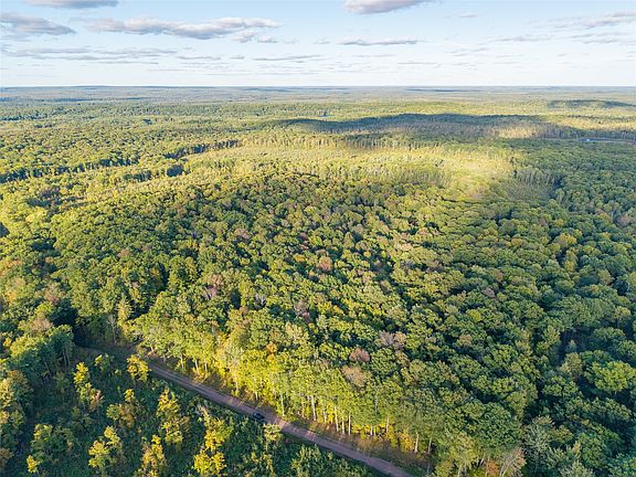 5th image of 38.2 Acres Vierck Lane