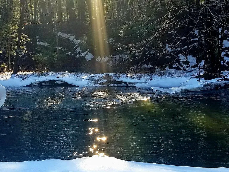 Shimmering Winter light