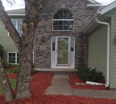 new landscaping & tree trim