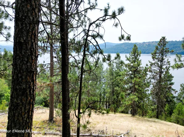Nna Lacon Ln, Harrison, ID 83833