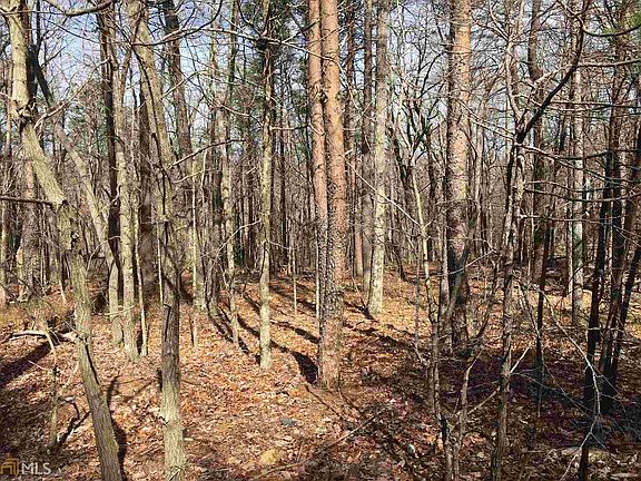 5th image of 0 Mulberry Ln 426 427 #385