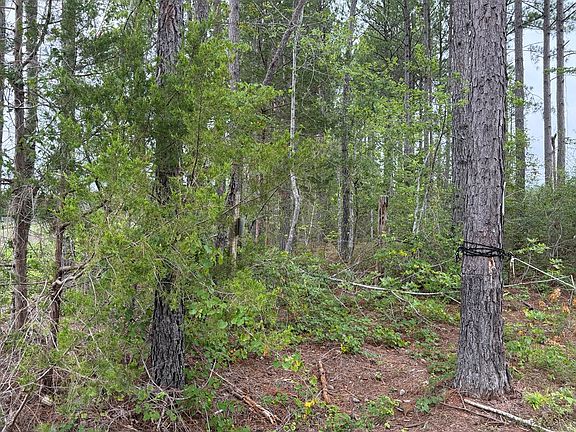 3rd image of 1898 Oak Grove Rd