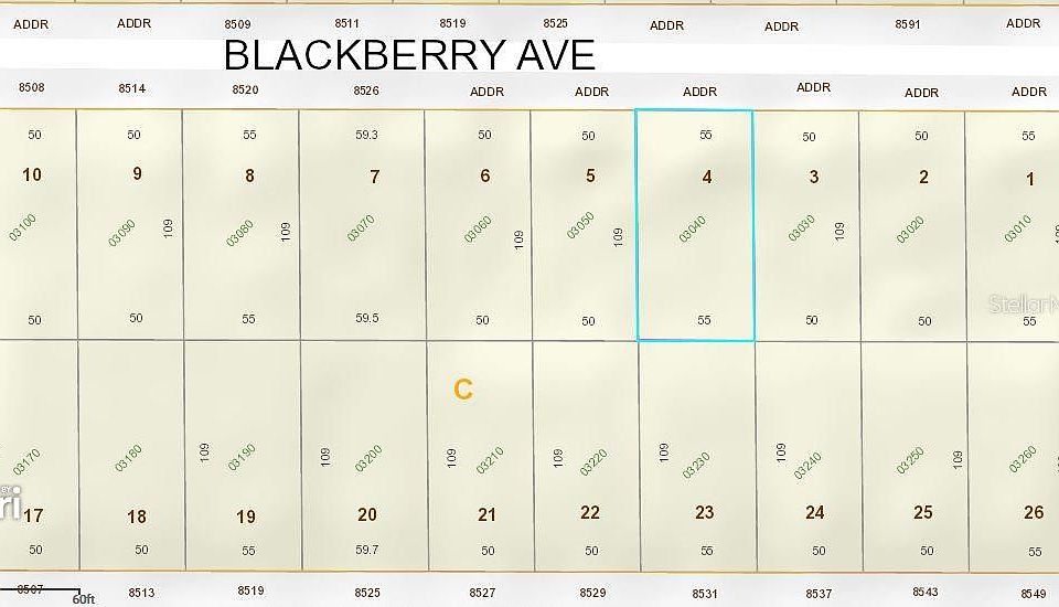 2nd image of Blackberry Ave