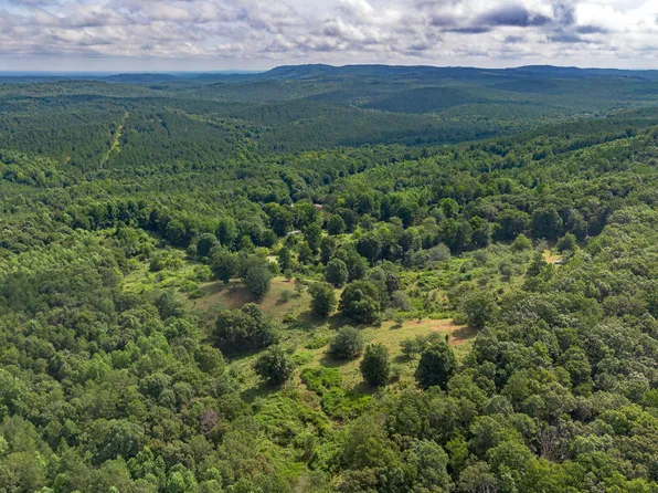 5967 County Road 19 Lot 1, Heflin, AL 36264