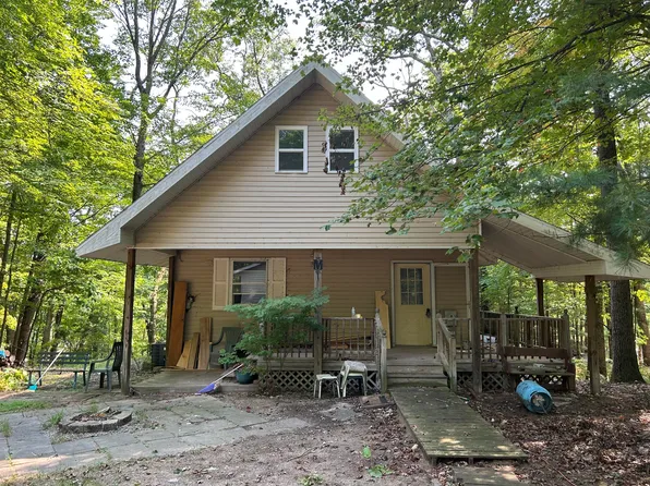 9200 S Oxeye Ave, Baldwin, MI 49304