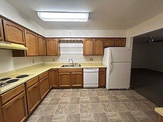 5633-4_03132025
