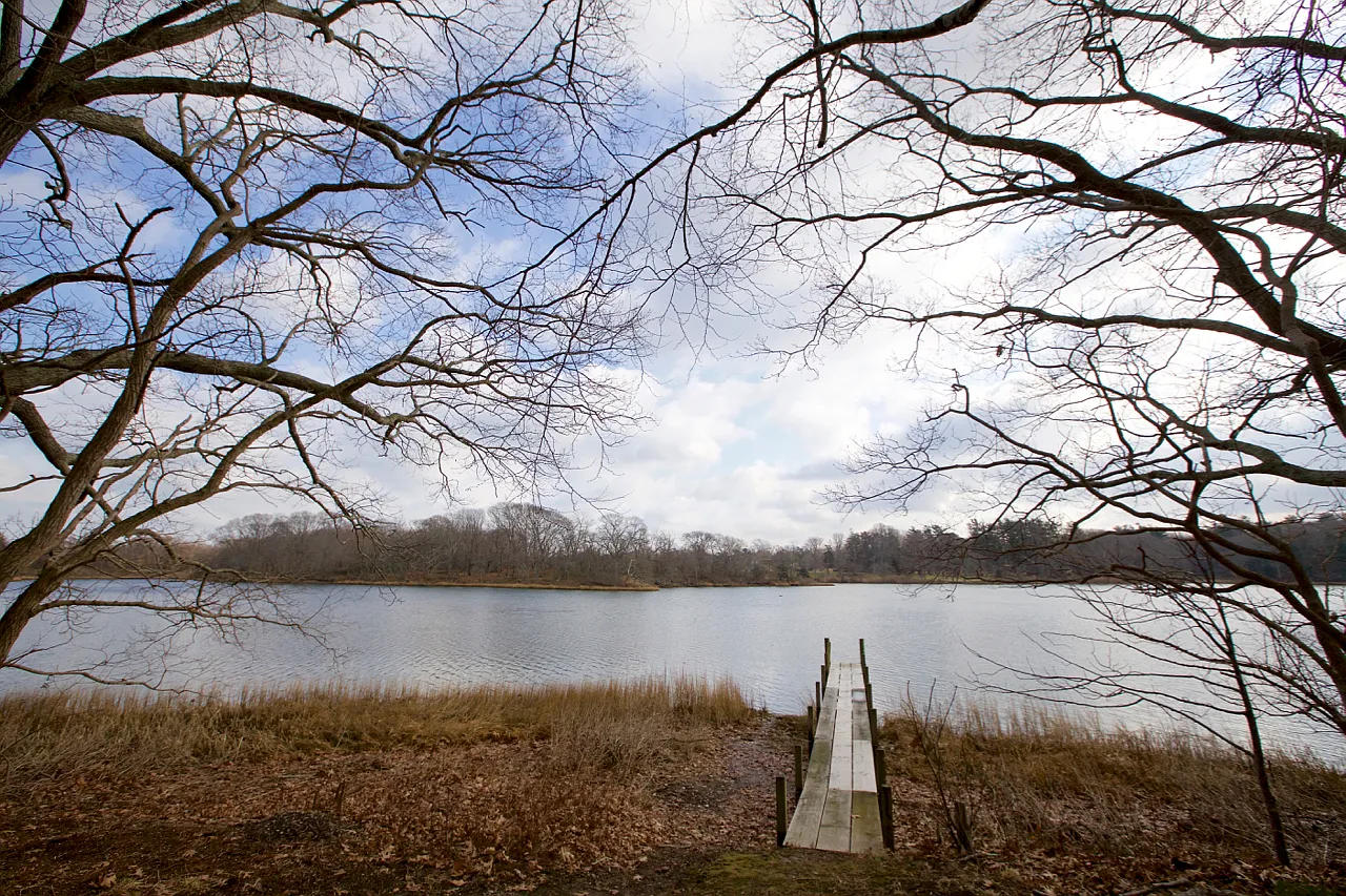 Gardiner's Creek Waterfront — Photo 2