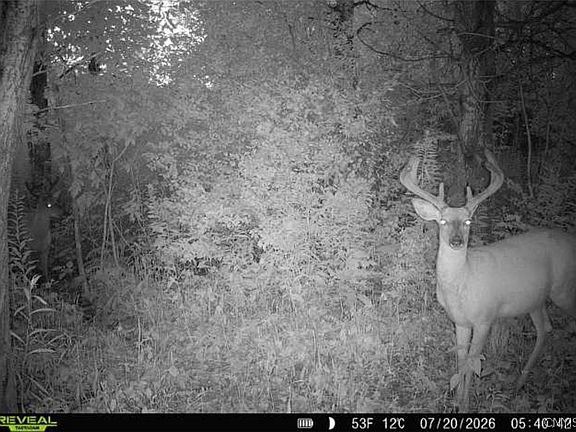 4th image of Buttermilk Rd