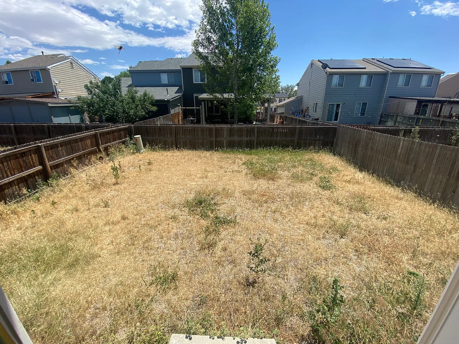 3 bed, 2.5 bath, 1900 sqft, $2,800 — Photo 4