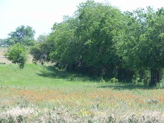 4th image of 1701 County Road 212