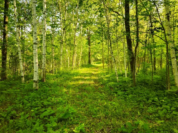 180th St, Milaca, MN 56353