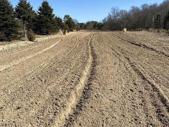 3rd image of Route 206 & Forked Neck Rd
