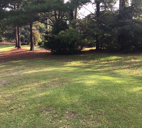 2nd image of 8707 Champion Hills Dr