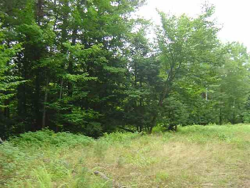 5th image of 00 PARKER Road
