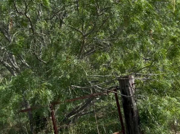 0000 Fox Trotter Rd, Seguin, TX 78155