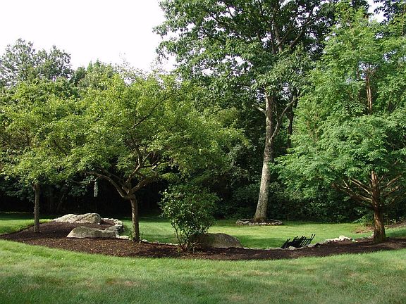 Landscape in back yard