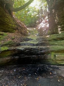 999 Wicked Oak Rd, Campton, KY, 41301