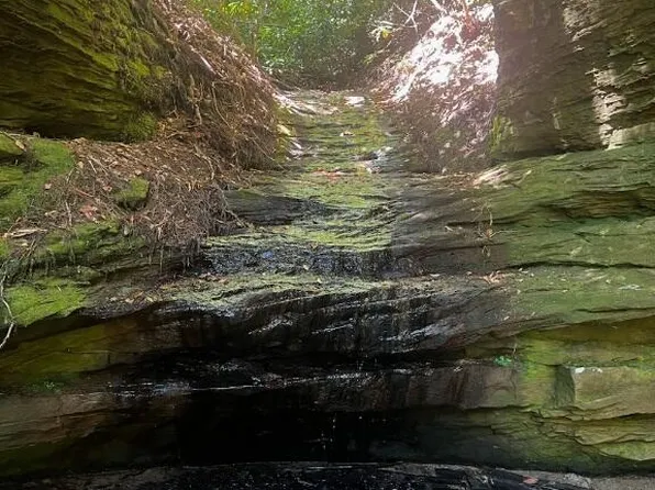 999 Wicked Oak Rd, Campton, KY 41301