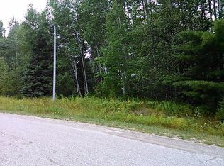 15236 Valley Dr, Wolverine, MI 49799