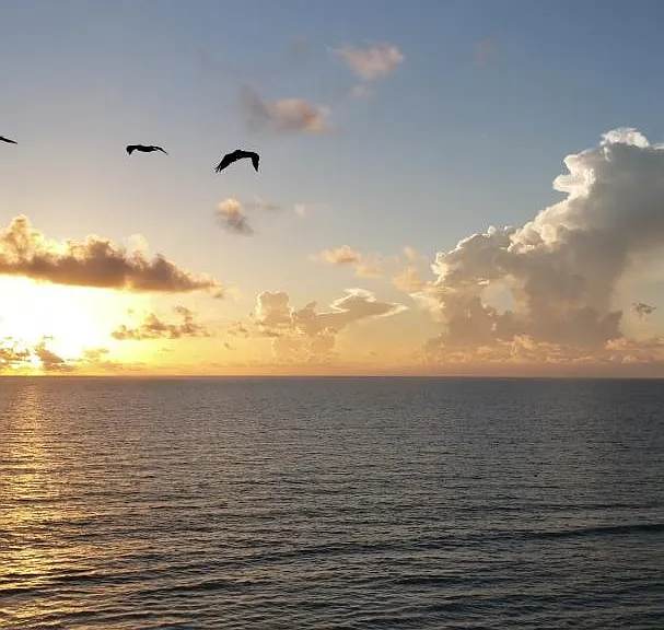 Early morning view from the balcony