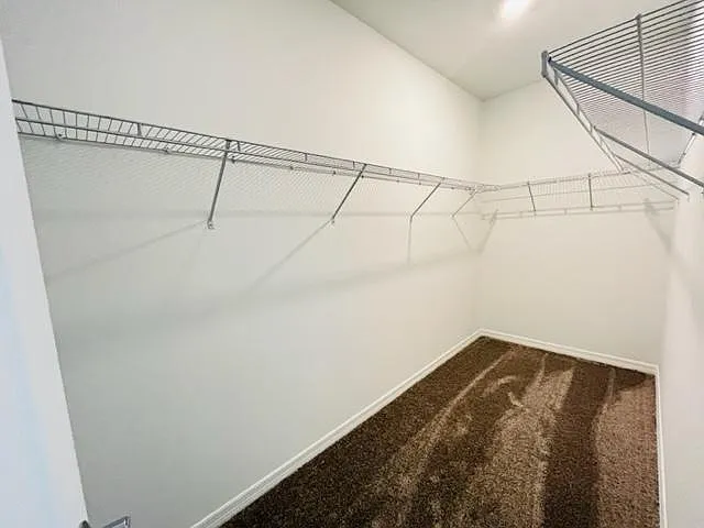 4146 Pino St — Photo 15