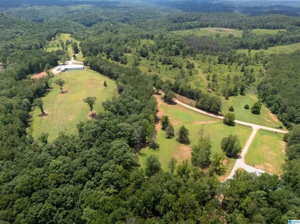1310 County Road 269 #0, Wedowee, AL 36278
