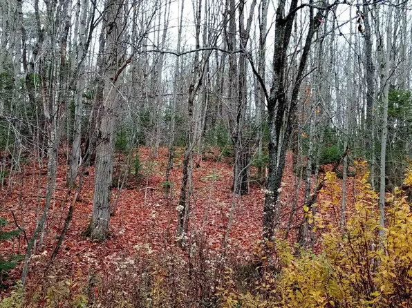 000 Square Road Lot B, Eden, VT 05653