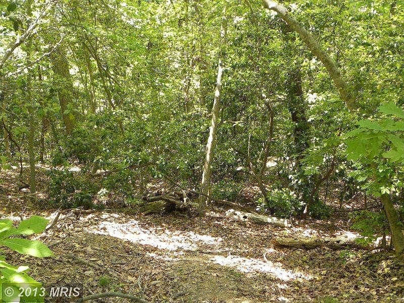 1st image of 757 Ox Bowl Ln
